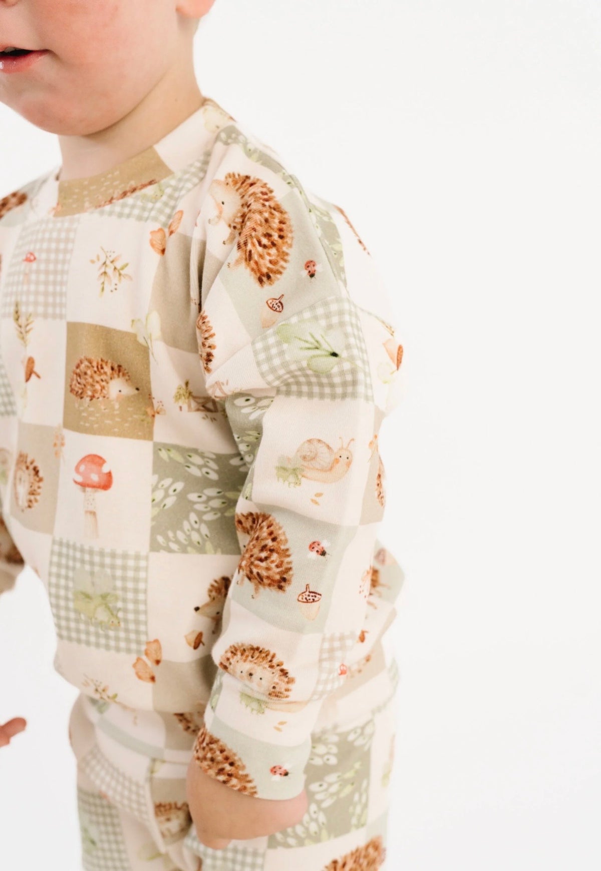 Hedgehog Patchwork Crewneck Set