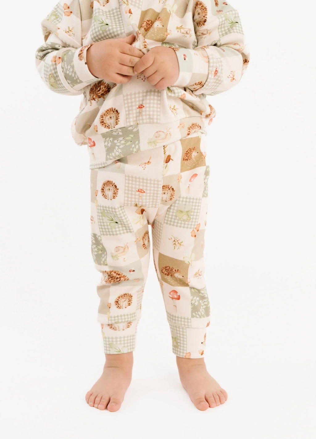 Hedgehog Patchwork Crewneck Set