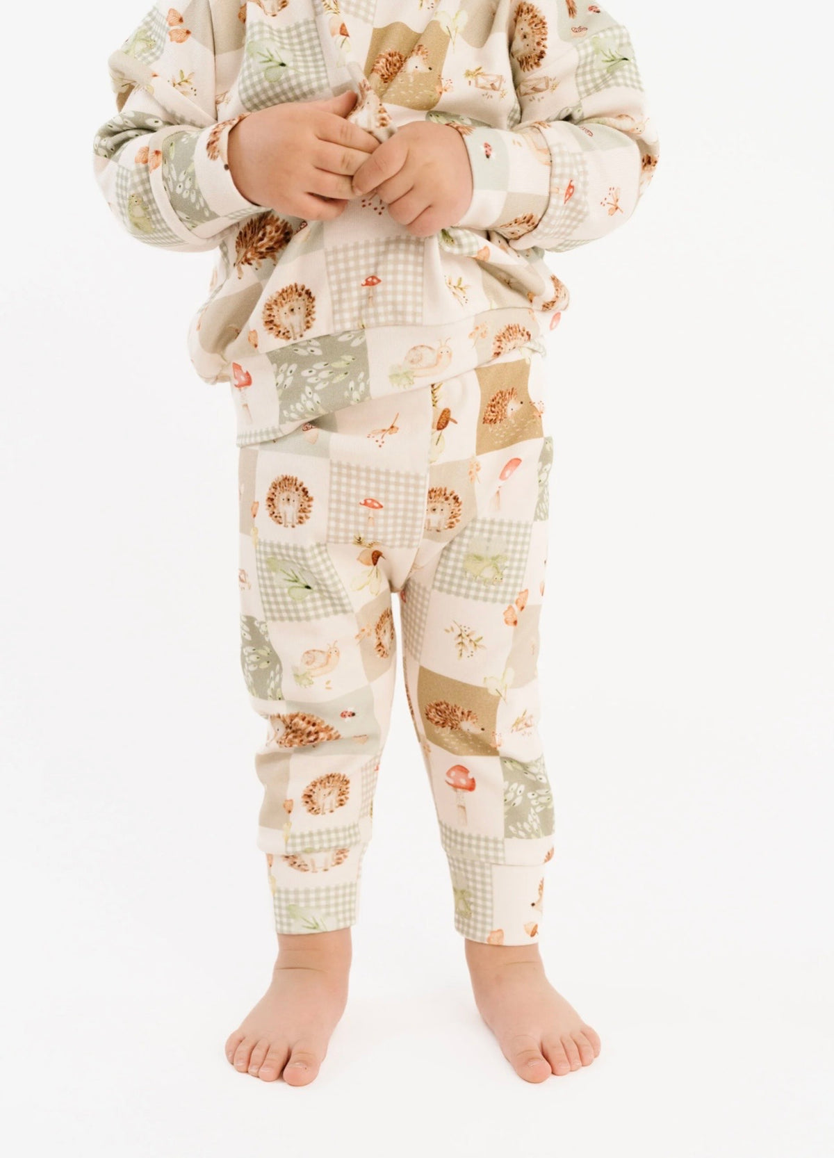 Hedgehog Patchwork Crewneck Set