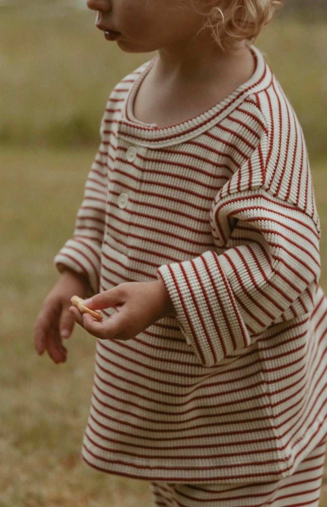 Micky Set in Thin Turtledove Stripe