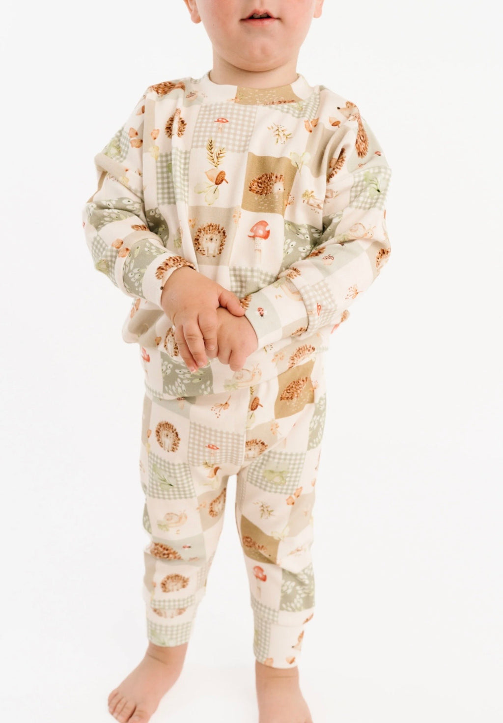 Hedgehog Patchwork Crewneck Set