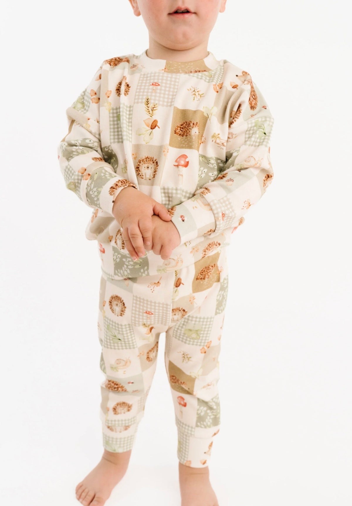 Hedgehog Patchwork Crewneck Set